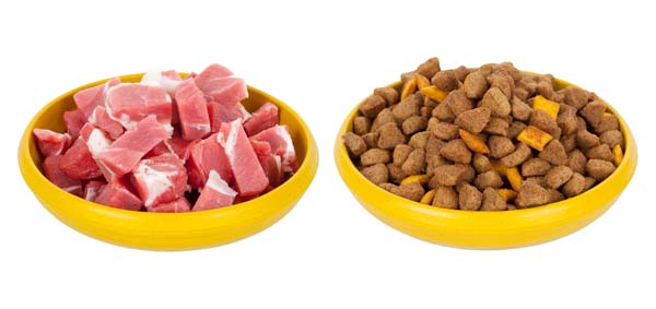 Raw Dog Food Diet