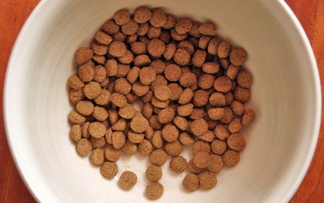 Researchers in Brazil Looking Into Pet Food Processing