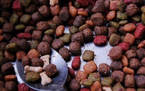 Researchers in Brazil Looking Into Pet Food Processing