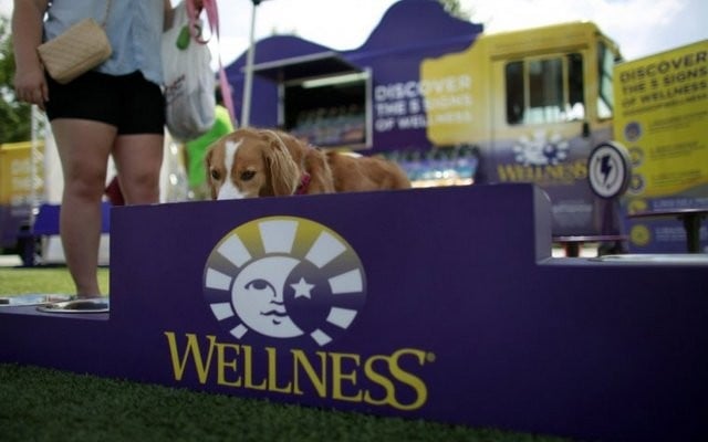 Wellness Natural's Brings Dog-Shaped 'Food' Truck to Virginia Beach