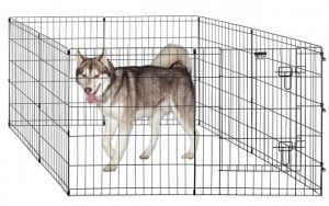 Why You Need a Dog Playpen