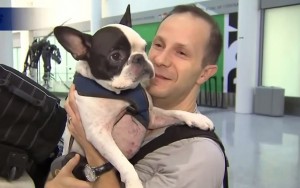 Air Canada Pilot Diverts Plane to Save Dog