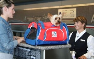 American Airlines Offers Luxe Pet Cabins