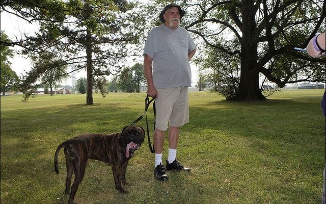 Arthritis Trouble Sparks Retiree's Idea for A Dog Park in Toledo, Ohio