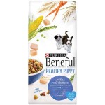 Best Puppy Food Brands for Dogs