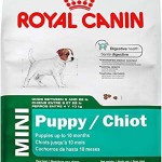 Best Puppy Food Brands for Dogs