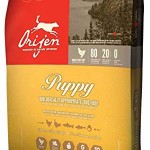 Best Puppy Food Brands for Dogs