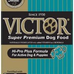 Best Puppy Food Brands for Dogs