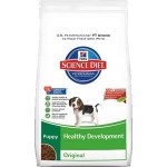 Best Puppy Food Brands for Dogs