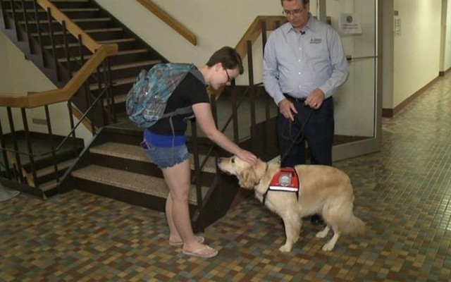 Concordia University Now Has a Comfort Dog on Campus