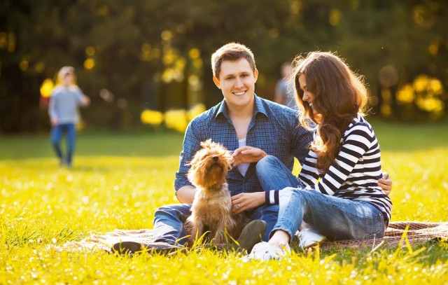 Dog Park Etiquette