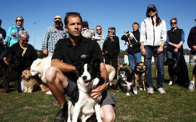 Dog Walkers in Australia Are Furious About New Regulations