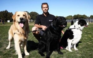 Dog Walkers in Australia Are Furious About New Regulations