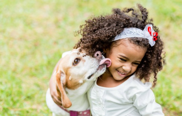 Dogs and Children featured image