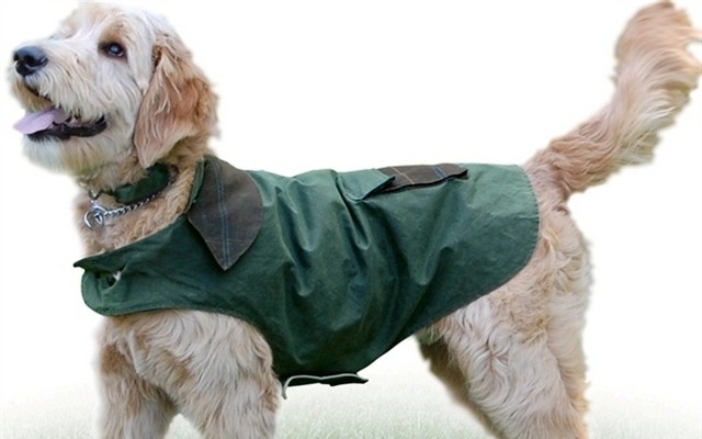 Handsome Hounds Is Best Known For Their Weather Resistant Dog Jackets