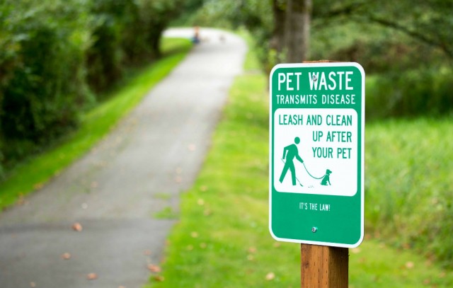 How Dog Pooper Scoopers Are Saving Our Planet