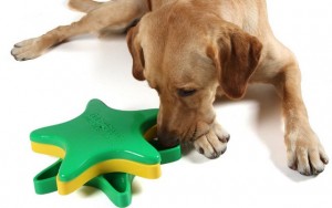 Interactive Puzzle Toys for Dogs