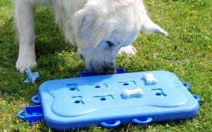 Interactive Puzzle Toys for Dogs