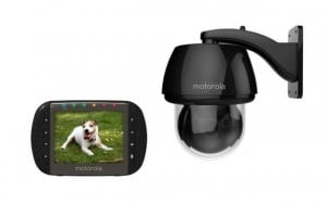 Keeping An Eye On Your Pet Just Got Easier