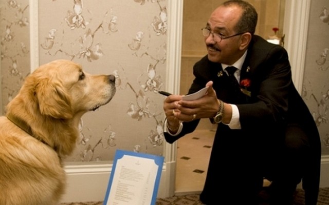 London Hotel Sets the Bar High for Pet Friendly Establishments