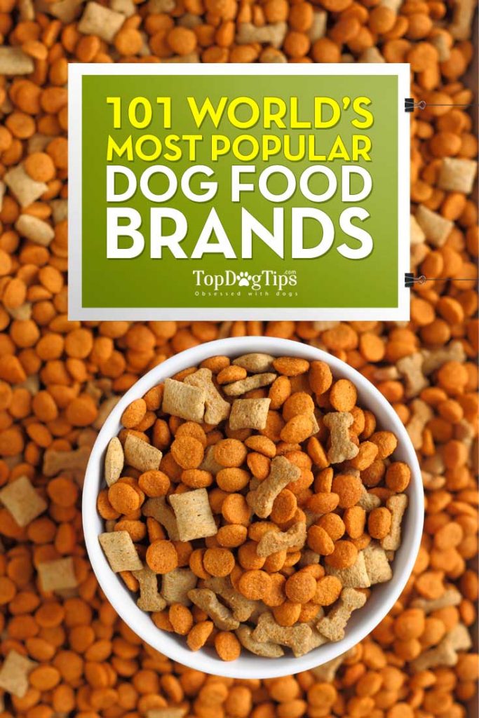 Most Popular Dog Food Brands