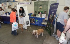 New England Pet Expo Kicking Off This Weekend