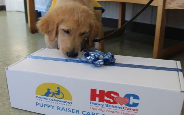 Puppy Raisers and Their Vets Are Receiving Special Care Packages