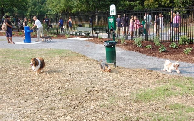 Residents and Business Owners Oppose Louisiana Dog Park