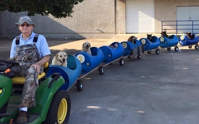 Retiree Builds Dog Train To Take Rescued Pups For Rides