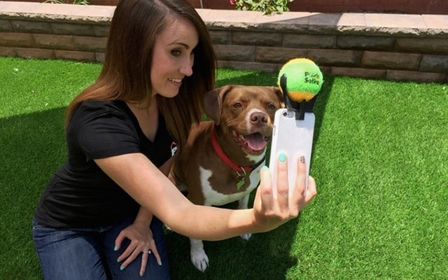 Tennis Ball Smartphone Attachment Makes Taking Selfies With Your Dog Simple