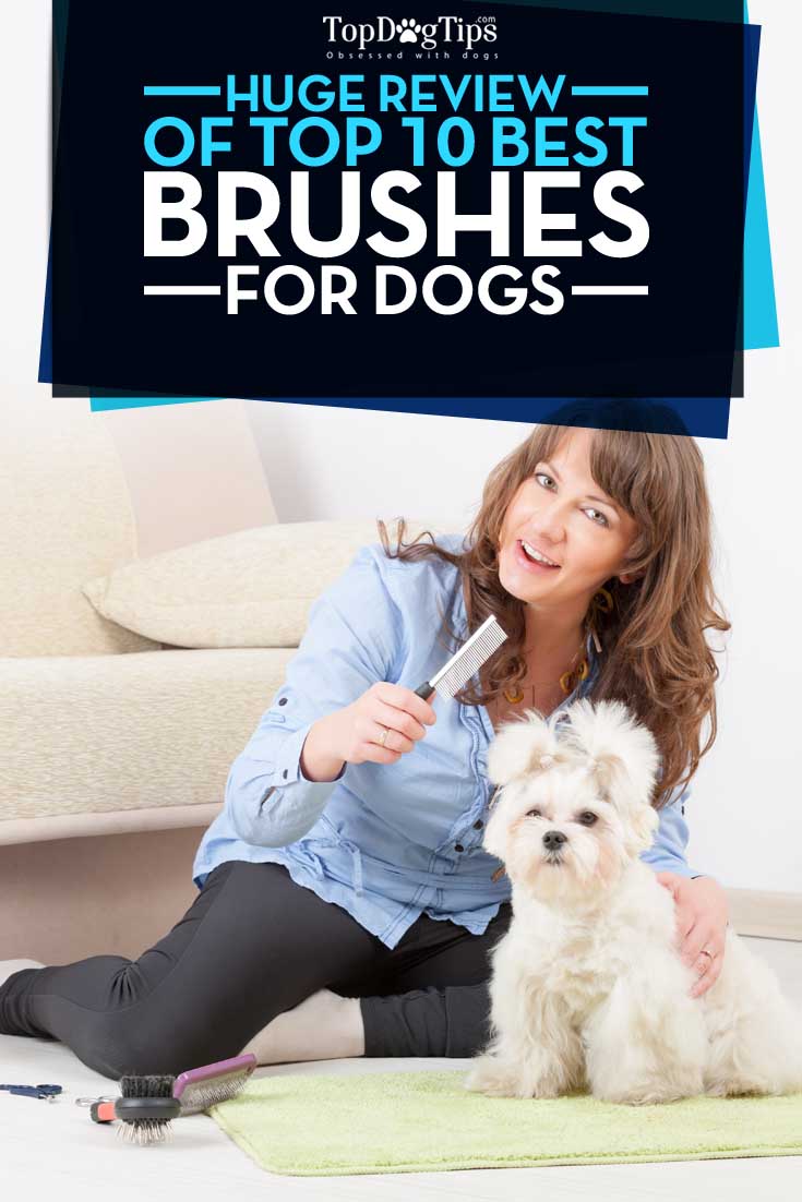 Top 10 - What Is the Best Dog Brush for Grooming