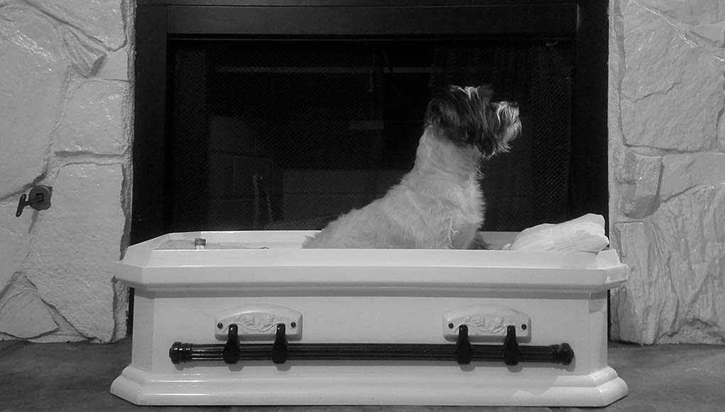 Top 5 Best Dog Caskets for Burial 2020