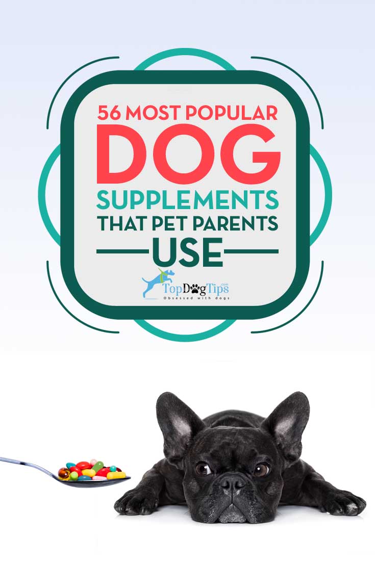 Top 56 Most Popular Dog Supplements