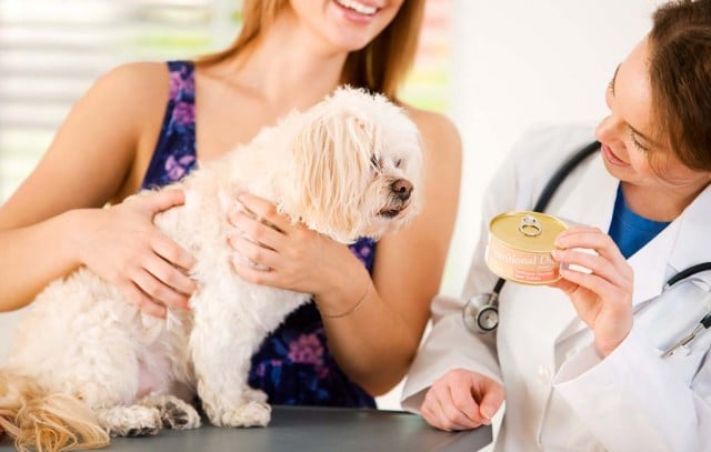 Vet Recommended Dog Food Brands