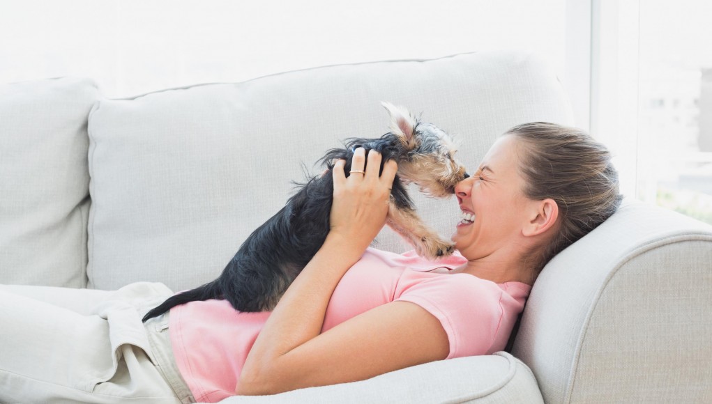 Ways Dogs Communicate Their Sense of Humor According to Science and Studies