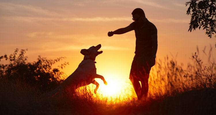 Why Some Dogs Dislike Men and What To Do About It