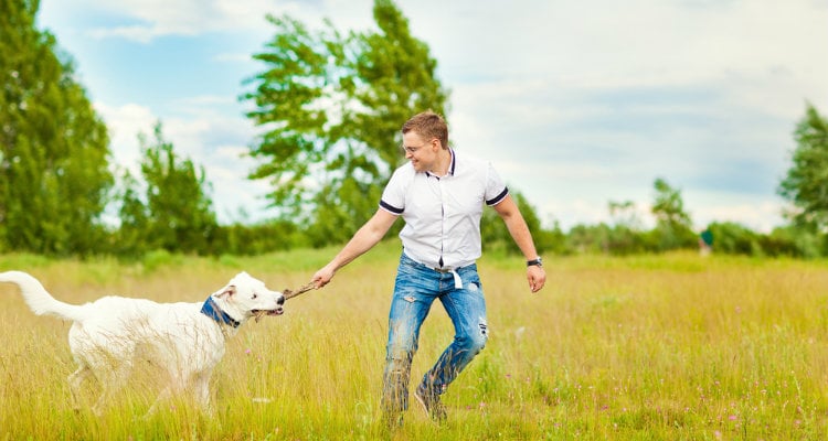 Why Some Dogs Dislike Men and What To Do About It