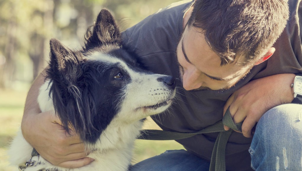 Why Some Dogs Dislike Men and What To Do About It