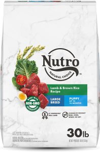 nutro dog food