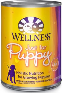 wellness puppy food