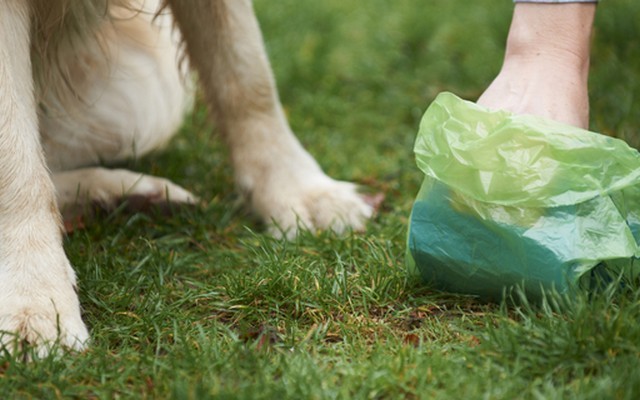 Are You Using State of the Art Dog Poop Bags