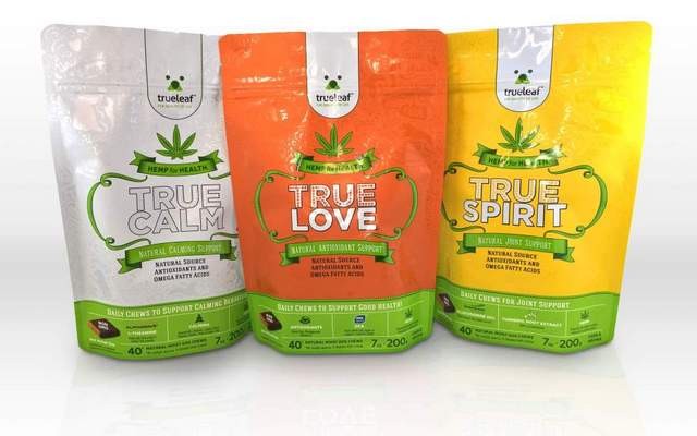 Can Hemp Products Soothe Your Pet's Anxiety