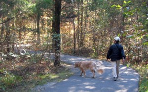 Could Your Parks and Rec Department Be Giving Your Dog Cancer?