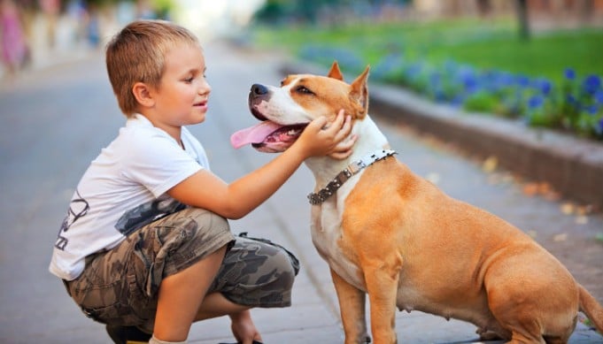 Do Your Kids Know How to be Around Dogs