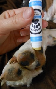 Video Review: Pawsitive FX All-Natural Balms and Wax for Dogs