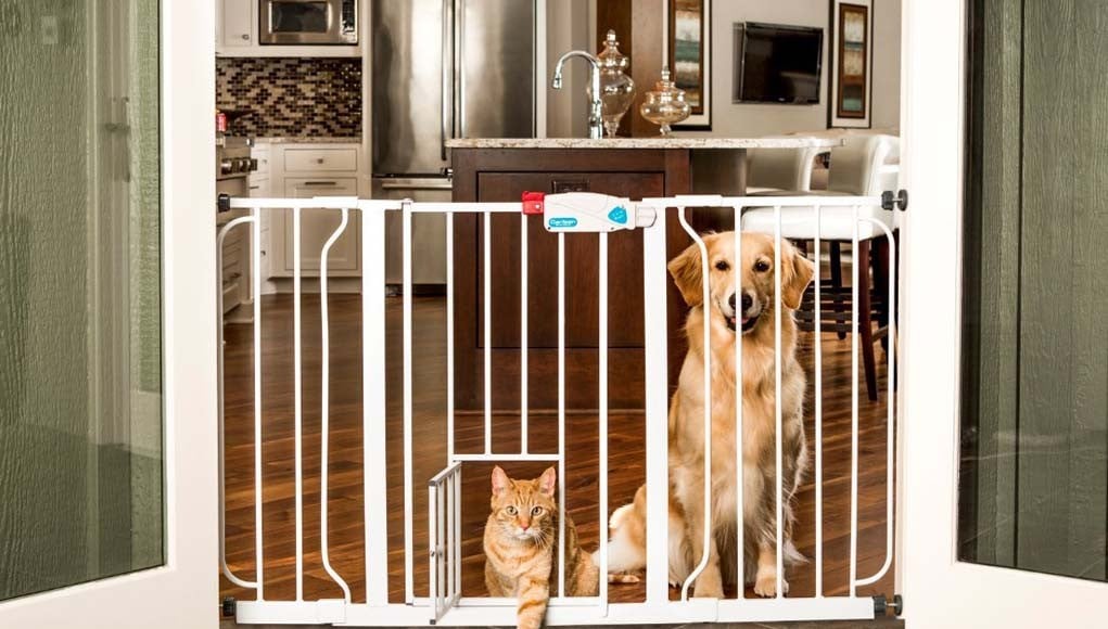 Reasons to Consider Pet Safety Gates for Your Dog