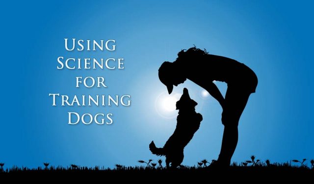 Science-based Dog Training Tricks Using Psychology featured image