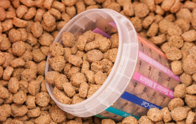 What Ingredients Should You Look For in Dog Food?