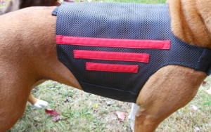 Wiggleless Back Brace