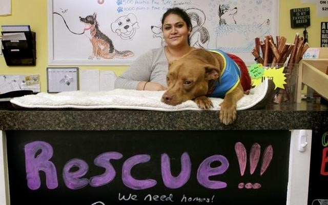 Can This Couple Revolution Dog Rescue Organizations